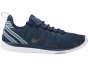Asics Gel-Fit Sana Training Shoes For Women Blue/Silver/Blue 945WAHWA