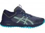 Asics Alpine Xt Running Shoes For Women Grey 580NTCPB