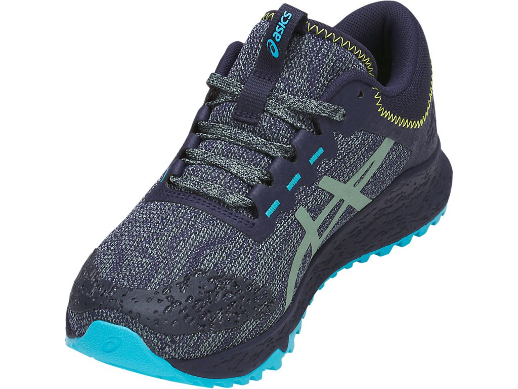 Asics Alpine Xt Running Shoes For Women Grey 580NTCPB