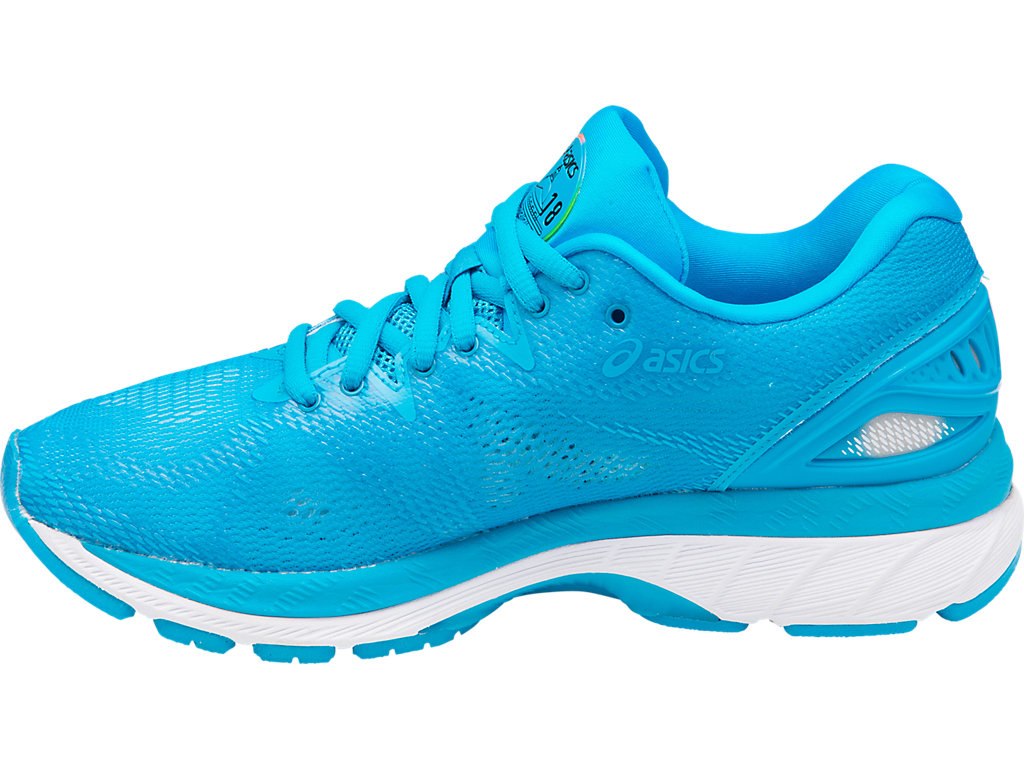 Asics Gel-Nimbus 20 Running Shoes For Women Blue 793EJKKH